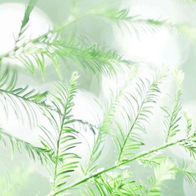 魔法门元素守护者手机版下载